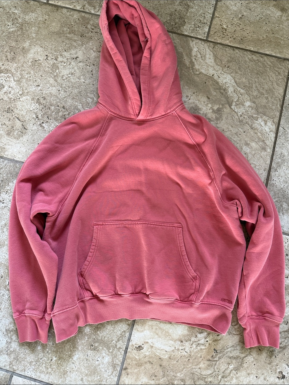 Aritzia Hooded Sweatshirt